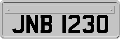 JNB1230
