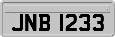JNB1233