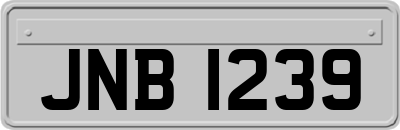 JNB1239