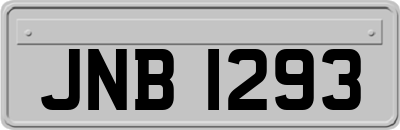 JNB1293