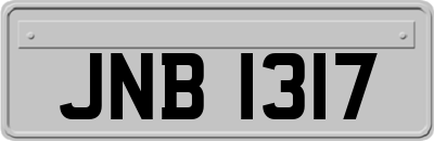 JNB1317