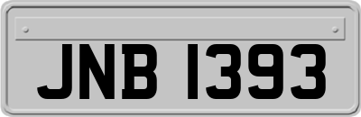 JNB1393