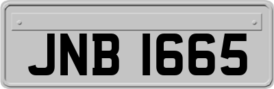 JNB1665