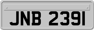 JNB2391