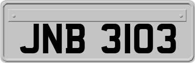JNB3103