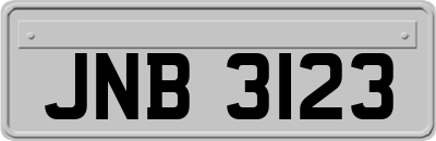 JNB3123