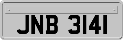 JNB3141