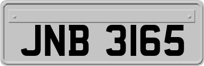 JNB3165
