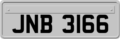 JNB3166
