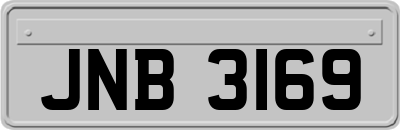 JNB3169