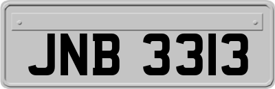 JNB3313