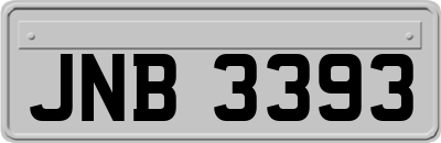 JNB3393