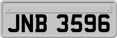 JNB3596