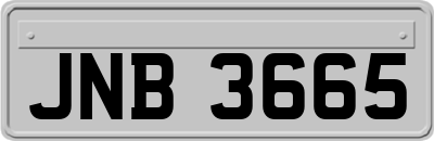 JNB3665
