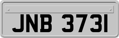 JNB3731