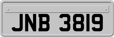 JNB3819