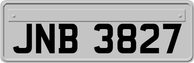 JNB3827