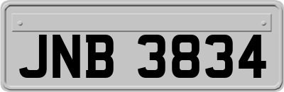 JNB3834