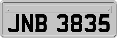 JNB3835