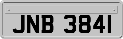 JNB3841
