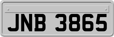 JNB3865