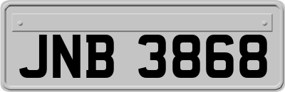 JNB3868