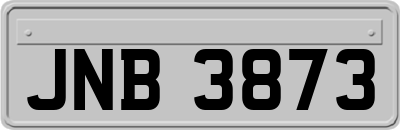 JNB3873