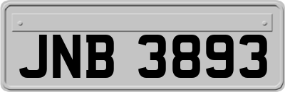 JNB3893