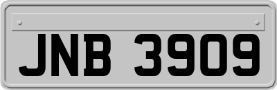 JNB3909