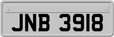 JNB3918