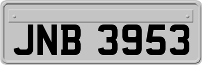 JNB3953
