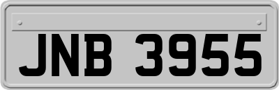 JNB3955