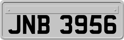 JNB3956