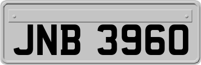 JNB3960
