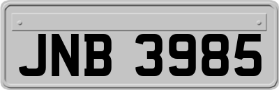 JNB3985