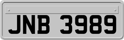 JNB3989