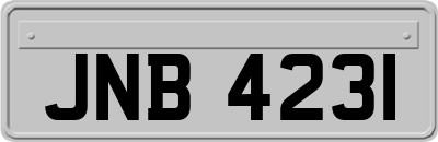 JNB4231
