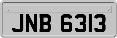 JNB6313