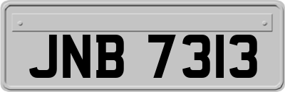 JNB7313