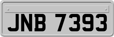 JNB7393