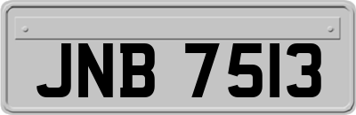 JNB7513