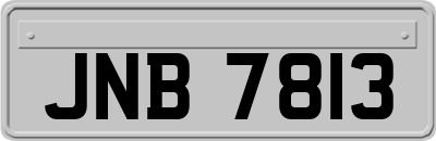 JNB7813