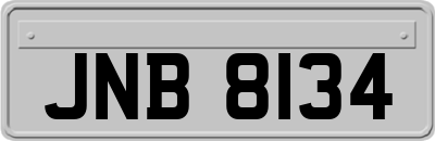 JNB8134