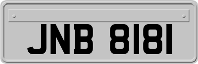 JNB8181