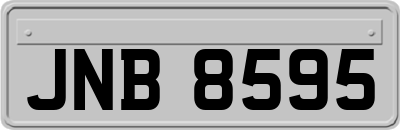 JNB8595
