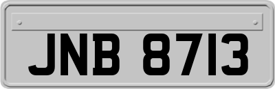 JNB8713