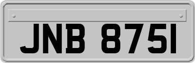 JNB8751