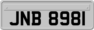 JNB8981