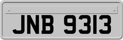 JNB9313