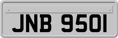 JNB9501